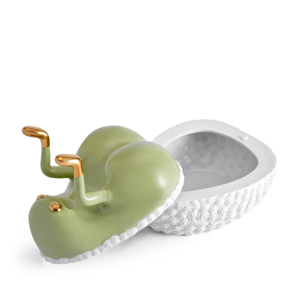 Haas - Butts Up Box Matcha / Gold * Last Piece * – Il'argento