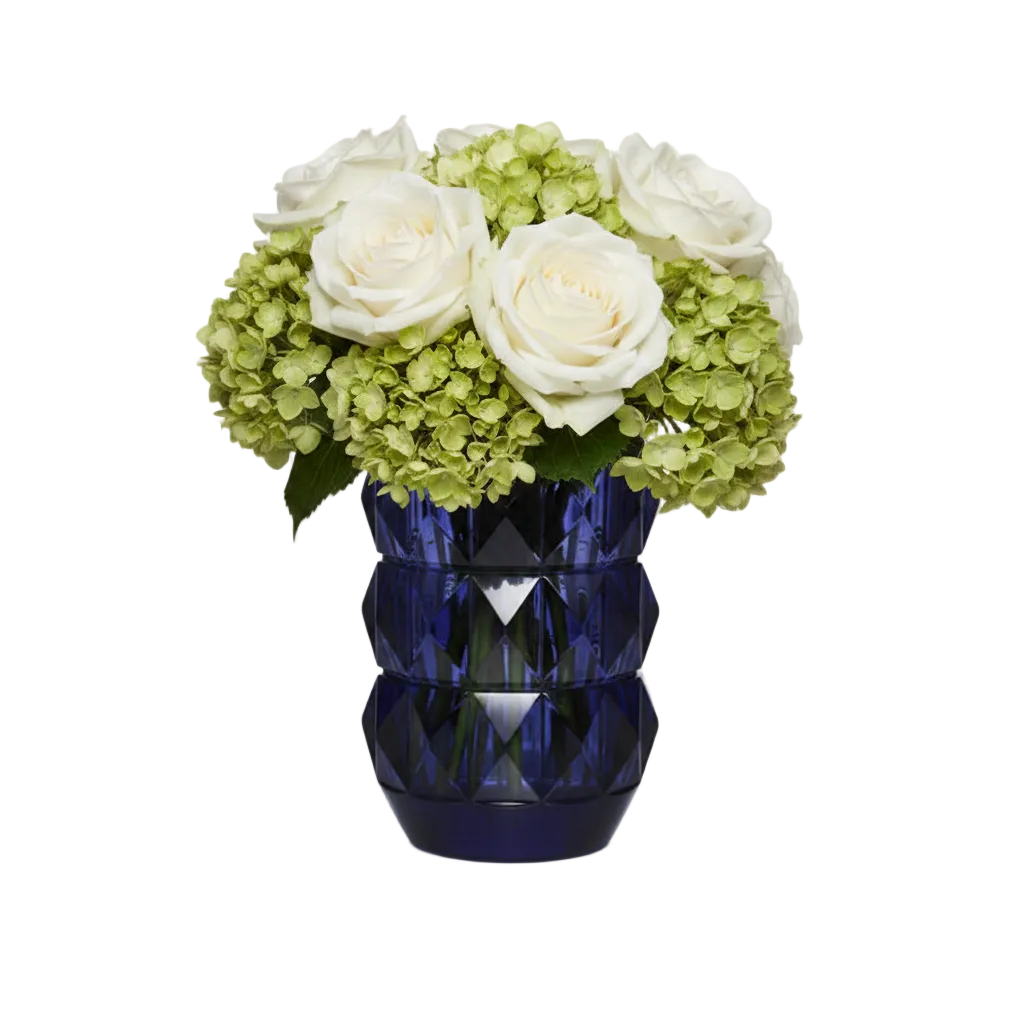 Vases Baccarat