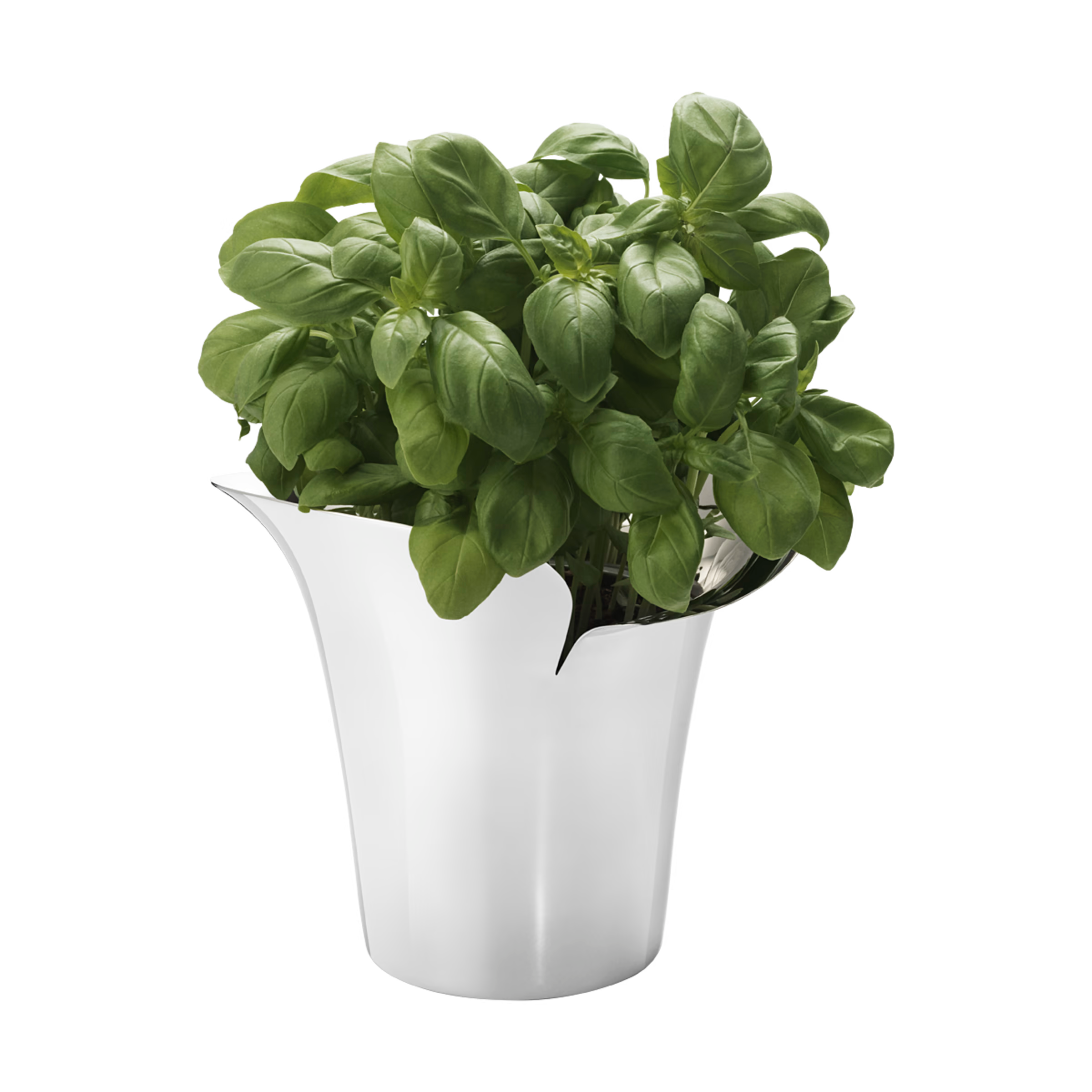 Georg Jensen