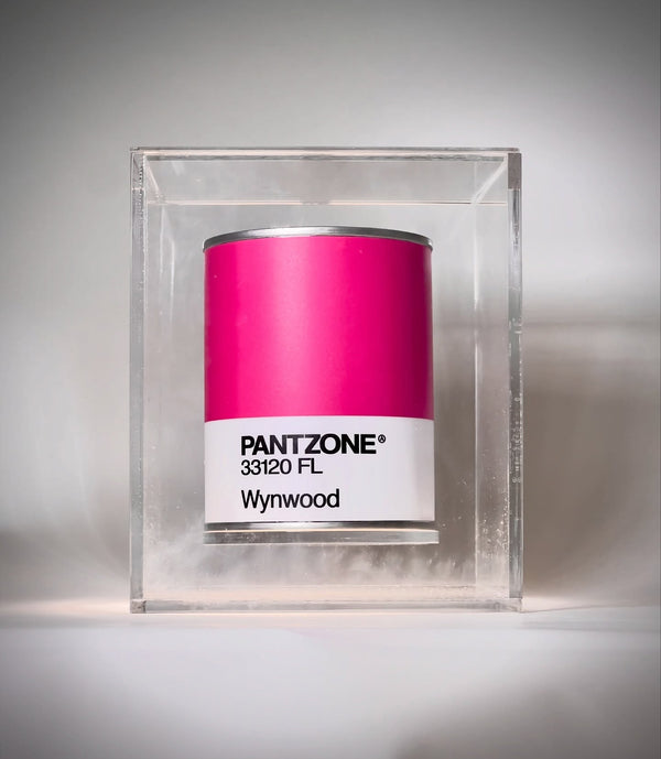 PanZone - Miami Col0rs / Wynwood