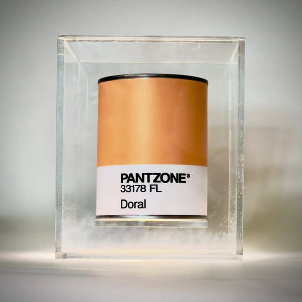 PanZone - Miami Col0rs / Doral