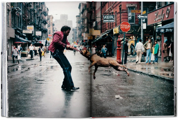 Book - New York. Portrait of a City