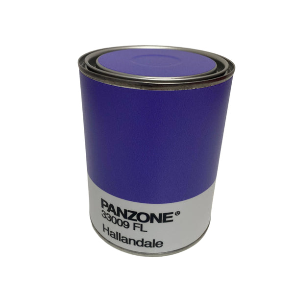 PanZone - Miami Col0rs / Hallandale
