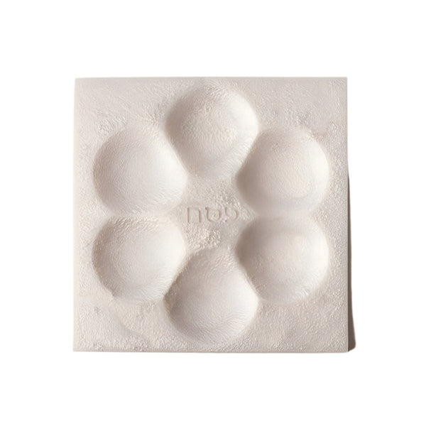 Passover Plate - Pearl