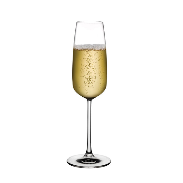 Mirage - Champagne Glasses (Set of 6)