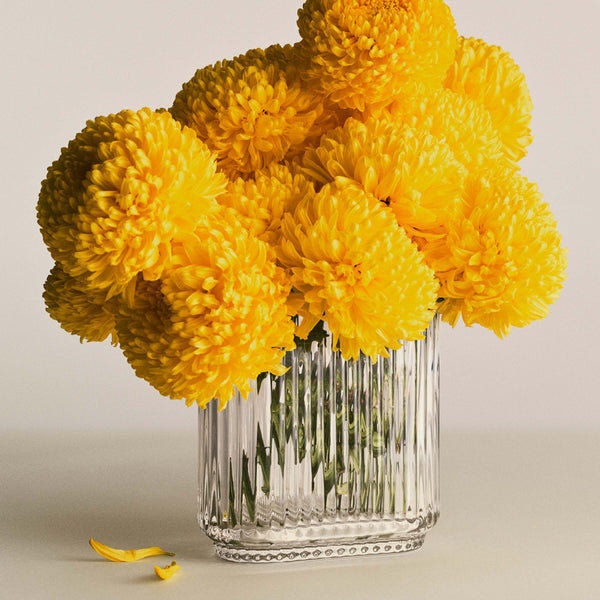 Bernadotte - Oval Glass Vase