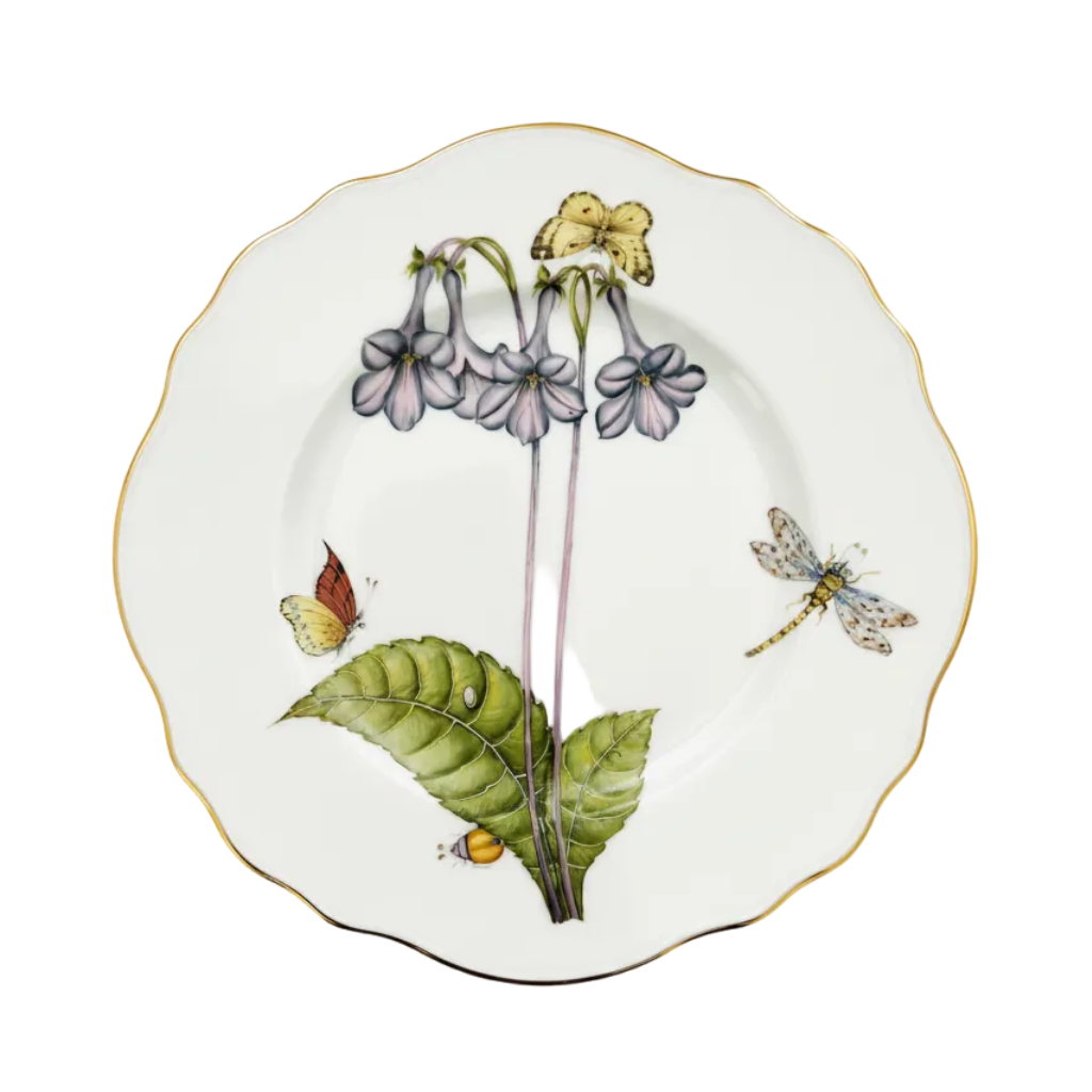 Accent Bluebell - Fondo Blanco Puro