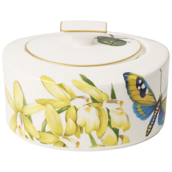 Amazonia - Sugar Bowl