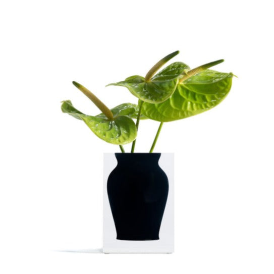 Henry - Bud Vase Soho Black