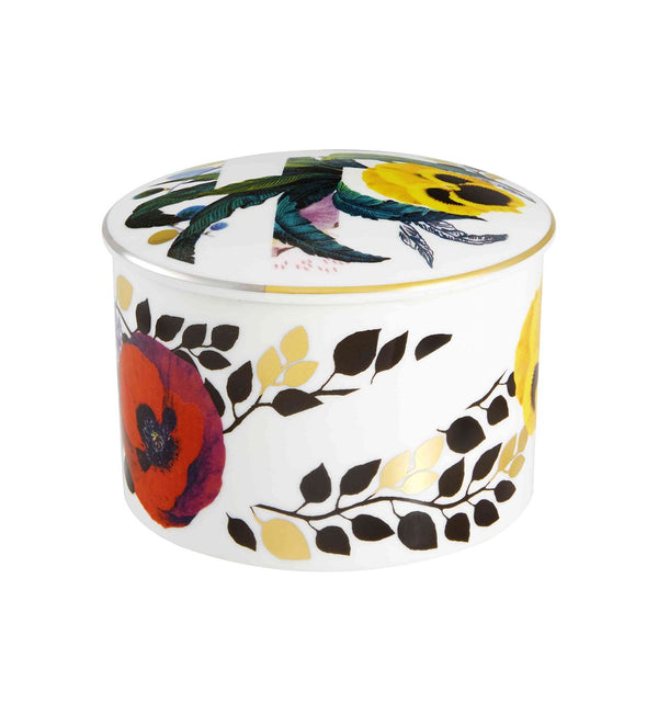 Primavera - Box Evora