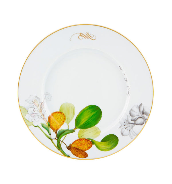 Amazonia - Dinner Plate
