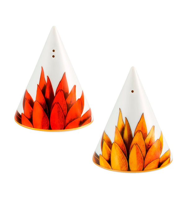 Amazonia - Set Salt/ Pepper