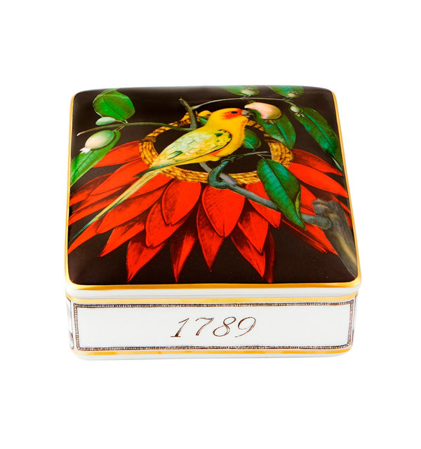 Amazonia - Card Box Dark