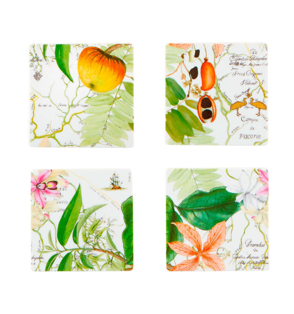 Amazonia - Set Of 4 Coasters