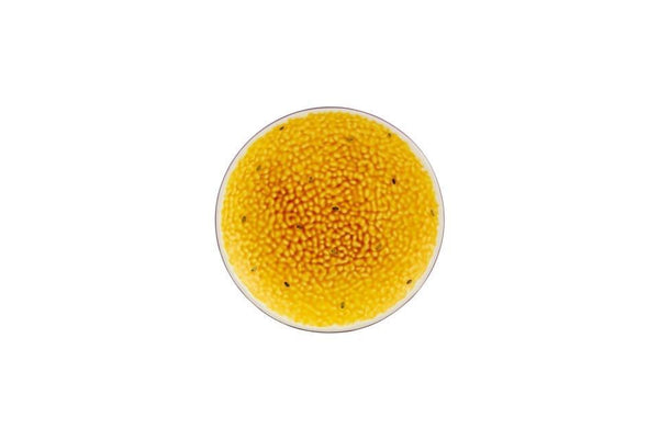 Tropical Fruits - Dessert Plate Passion Fruit