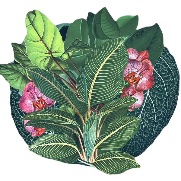 Botanic - Placemats (Set of 2)