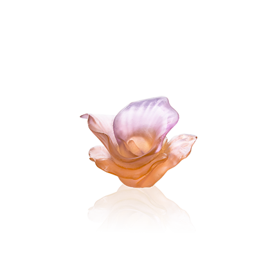 Arum - Pink Decorative Flower