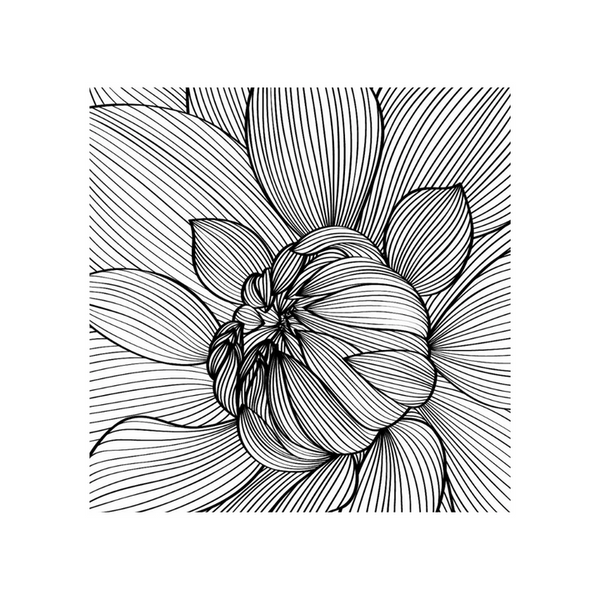 Tea Box - BW Realistic Flower White